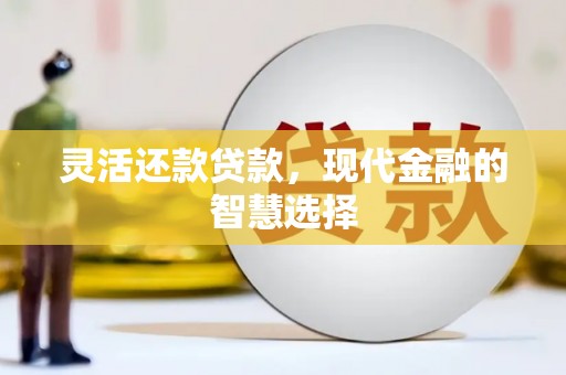 河东灵活还款贷款，现代金融的智慧选择
