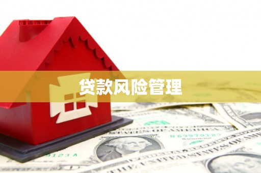 河东贷款风险管理
