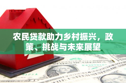 河东农民贷款助力乡村振兴，政策、挑战与未来展望