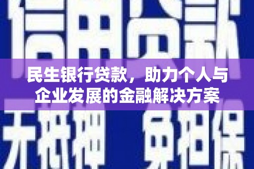 河东民生银行贷款，助力个人与企业发展的金融解决方案