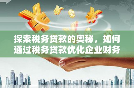 河东探索税务贷款的奥秘，如何通过税务贷款优化企业财务