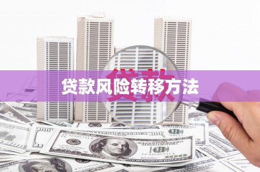 河东贷款风险转移方法