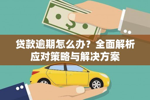 河东贷款逾期怎么办？全面解析应对策略与解决方案