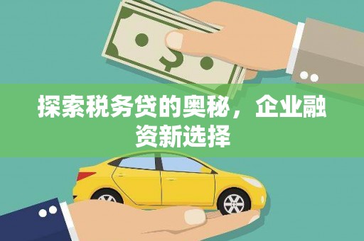 河东探索税务贷的奥秘，企业融资新选择