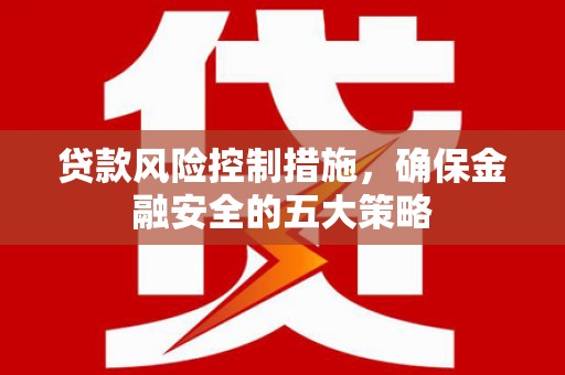 河东贷款风险控制措施，确保金融安全的五大策略
