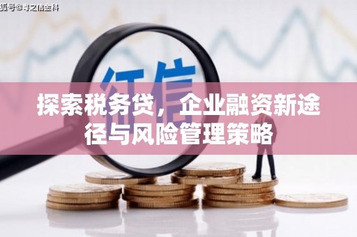 河东探索税务贷，企业融资新途径与风险管理策略