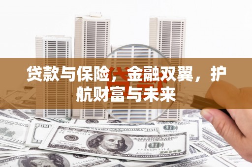 河东贷款与保险，金融双翼，护航财富与未来