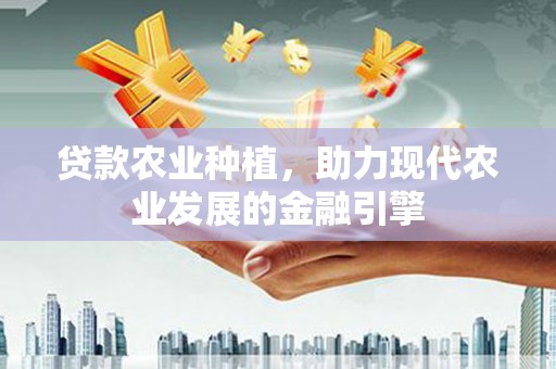河东贷款农业种植，助力现代农业发展的金融引擎