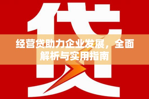 河东经营贷助力企业发展，全面解析与实用指南