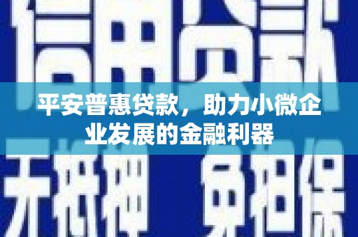 河东平安普惠贷款，助力小微企业发展的金融利器