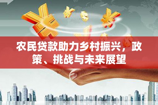 河东农民贷款助力乡村振兴，政策、挑战与未来展望
