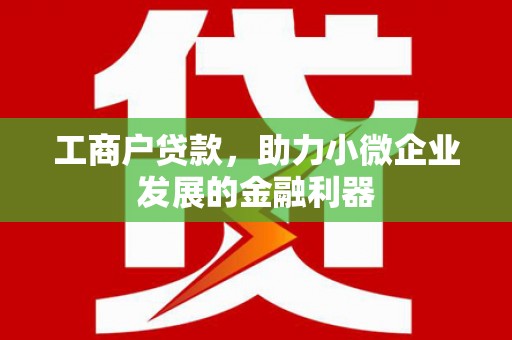 河东工商户贷款，助力小微企业发展的金融利器