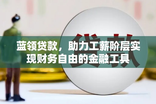 河东蓝领贷款，助力工薪阶层实现财务自由的金融工具