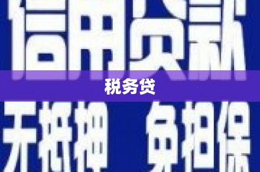 河东税务贷