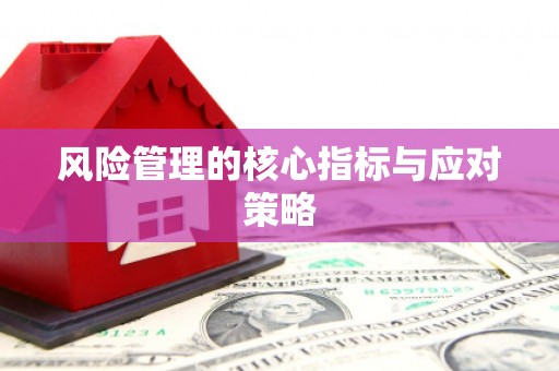 河东风险管理的核心指标与应对策略