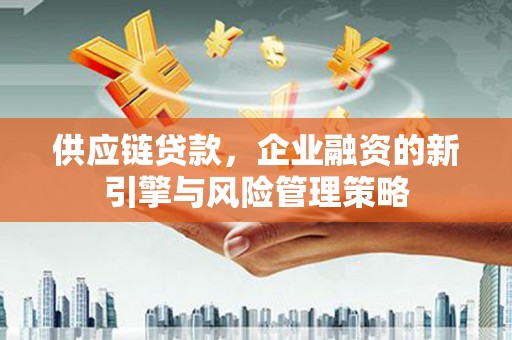 河东供应链贷款，企业融资的新引擎与风险管理策略
