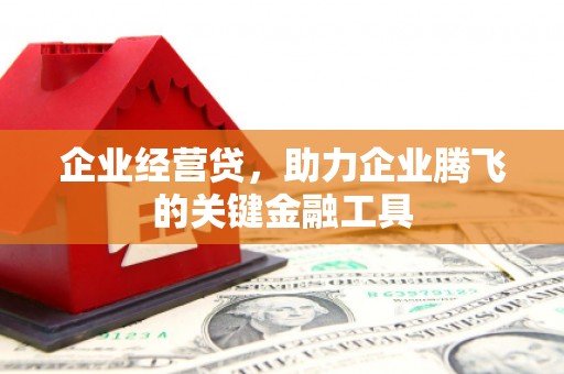 河东企业经营贷，助力企业腾飞的关键金融工具
