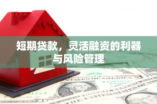 河东短期贷款，灵活融资的利器与风险管理
