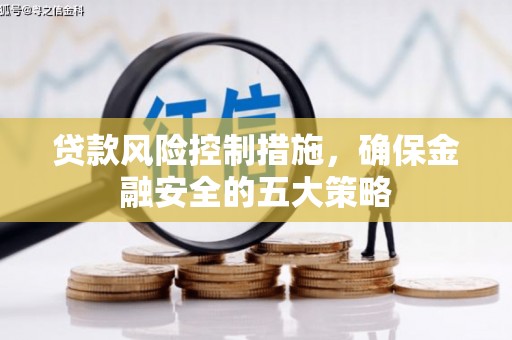 河东贷款风险控制措施，确保金融安全的五大策略