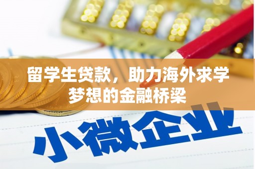 河东留学生贷款，助力海外求学梦想的金融桥梁
