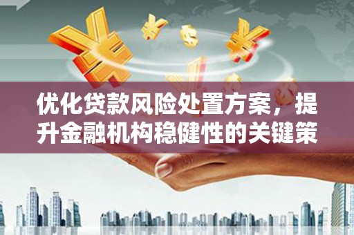 河东优化贷款风险处置方案，提升金融机构稳健性的关键策略