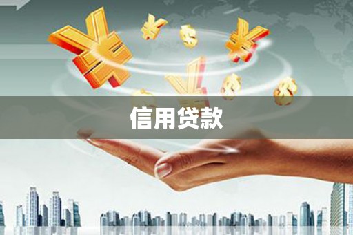 河东信用贷款