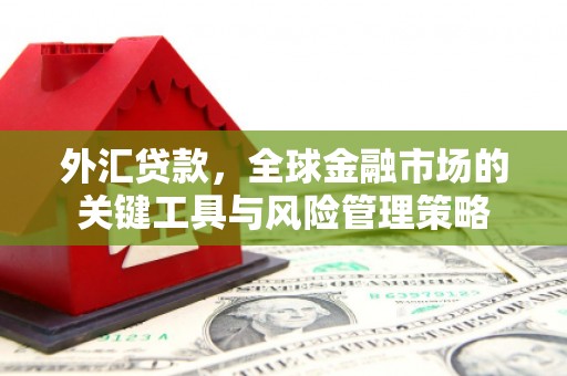 河东外汇贷款，全球金融市场的关键工具与风险管理策略
