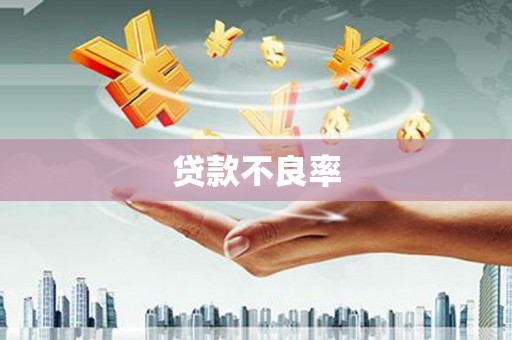 河东贷款不良率