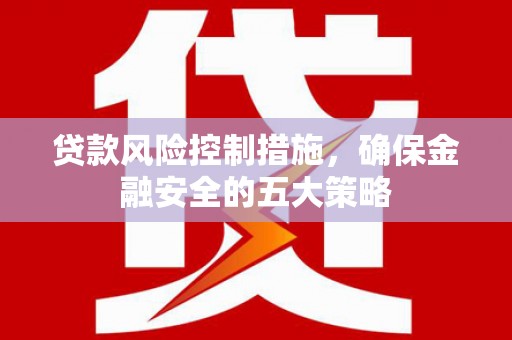 河东贷款风险控制措施，确保金融安全的五大策略