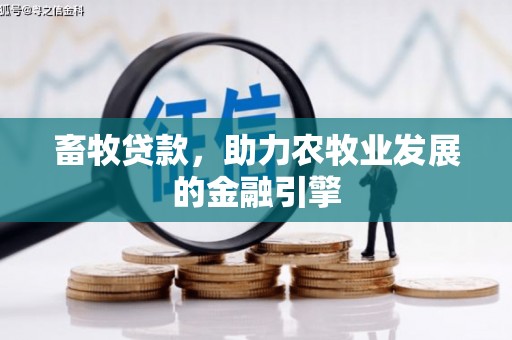 河东畜牧贷款，助力农牧业发展的金融引擎