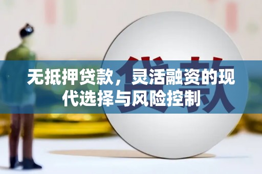 河东无抵押贷款，灵活融资的现代选择与风险控制