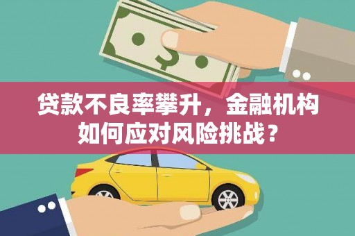 河东贷款不良率攀升，金融机构如何应对风险挑战？