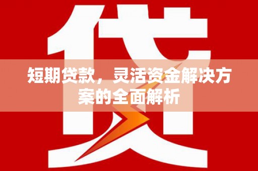 河东短期贷款，灵活资金解决方案的全面解析