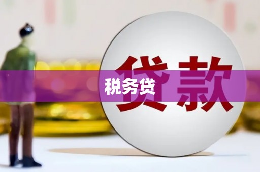 河东税务贷