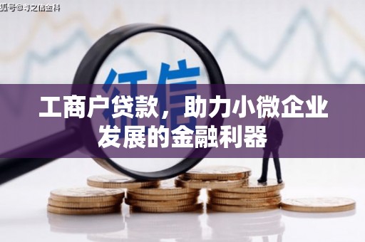 河东工商户贷款，助力小微企业发展的金融利器
