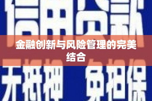 河东金融创新与风险管理的完美结合