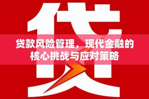 河东贷款风险管理，现代金融的核心挑战与应对策略