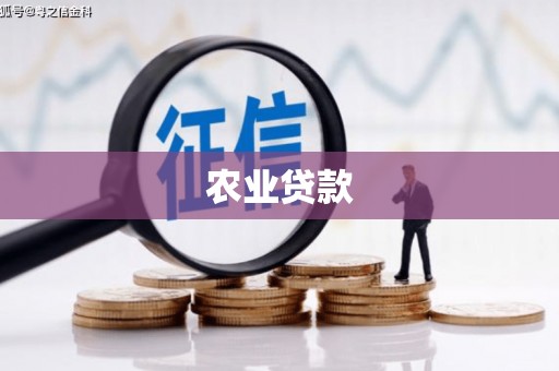 河东农业贷款