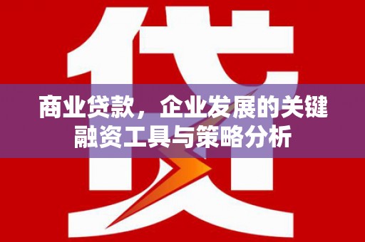 河东商业贷款，企业发展的关键融资工具与策略分析
