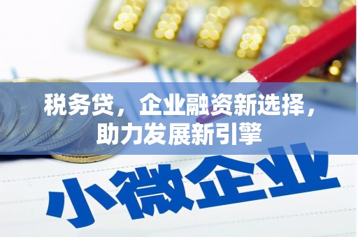 河东税务贷，企业融资新选择，助力发展新引擎