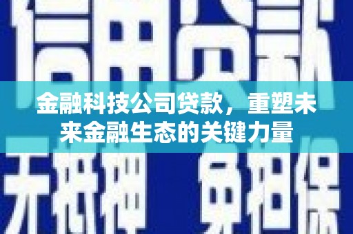 河东金融科技公司贷款，重塑未来金融生态的关键力量