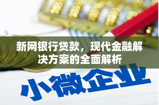 河东新网银行贷款，现代金融解决方案的全面解析