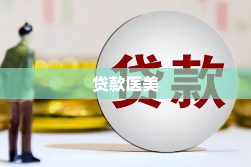 河东贷款医美