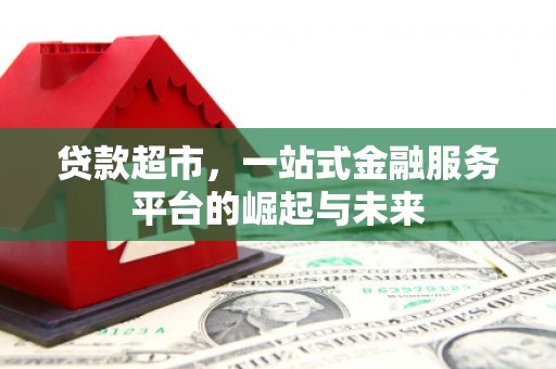 河东贷款超市，一站式金融服务平台的崛起与未来