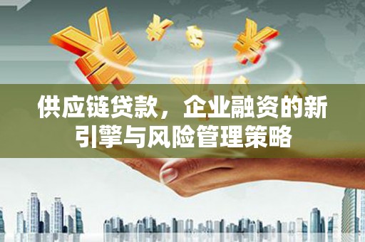 河东供应链贷款，企业融资的新引擎与风险管理策略