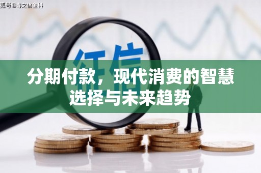 河东分期付款，现代消费的智慧选择与未来趋势