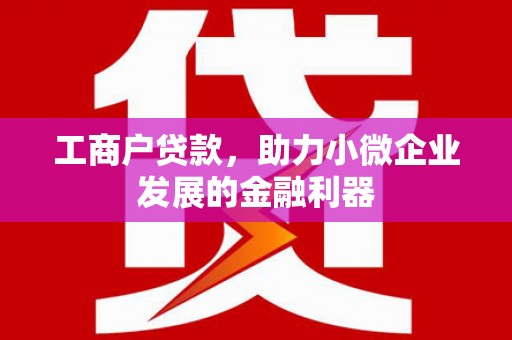 河东工商户贷款，助力小微企业发展的金融利器