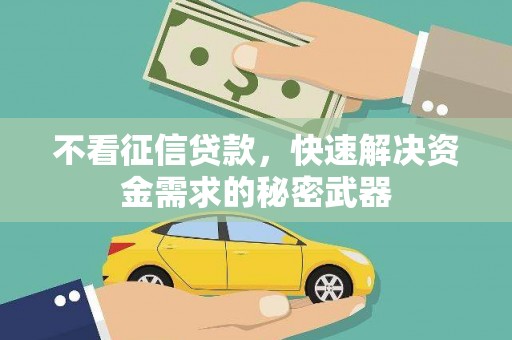河东不看征信贷款，快速解决资金需求的秘密武器