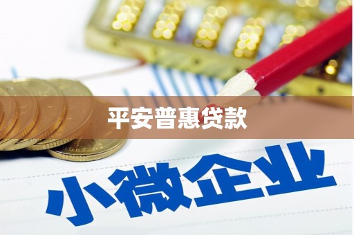 河东平安普惠贷款