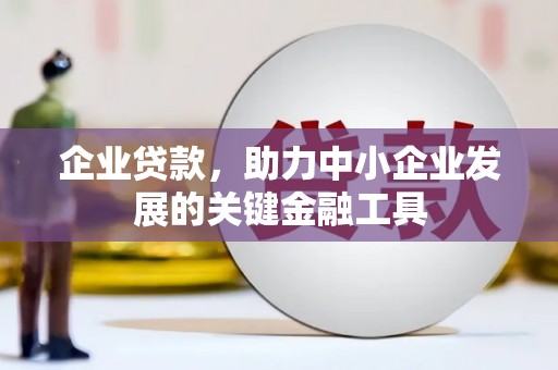 河东企业贷款，助力中小企业发展的关键金融工具